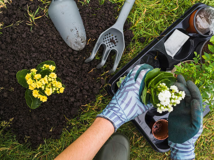 Mano de jardinero plantando