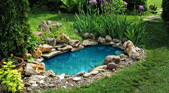 Estanque con borde de piedras en medio de jardín